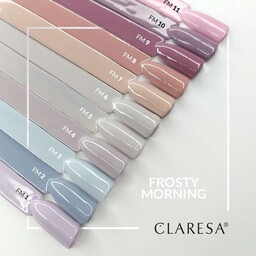 FROSTY MORNIN